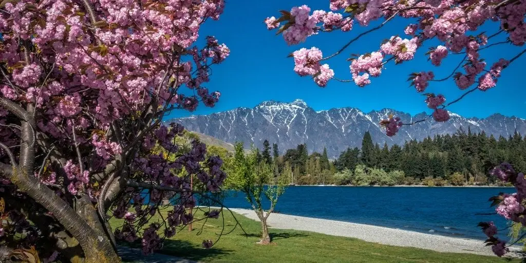 Queenstown spring scenery