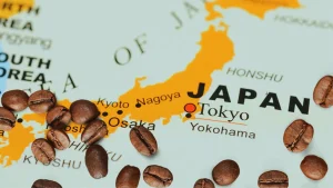 Japan: Precision and Craft