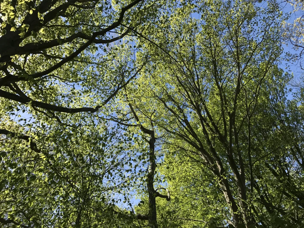 Rhode Island Nature & Green