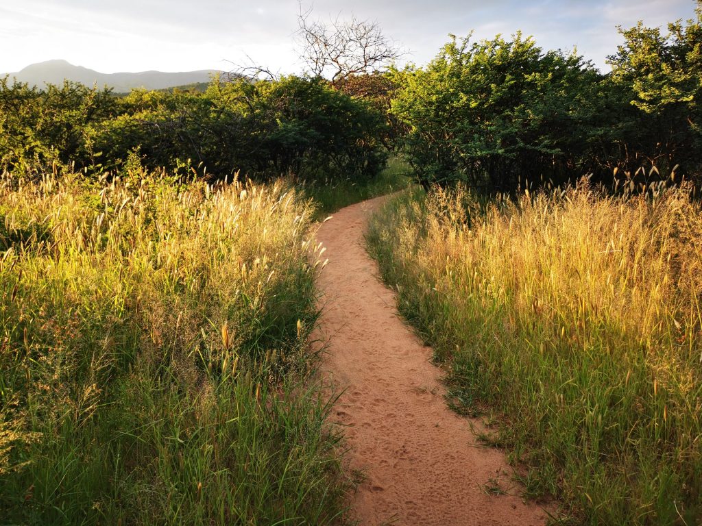 Hiking Trails in Windhoek