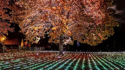 Hannover illuminated parks