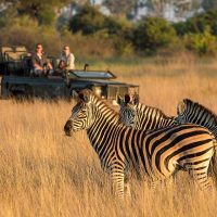 Adventure and Outdoor Activities