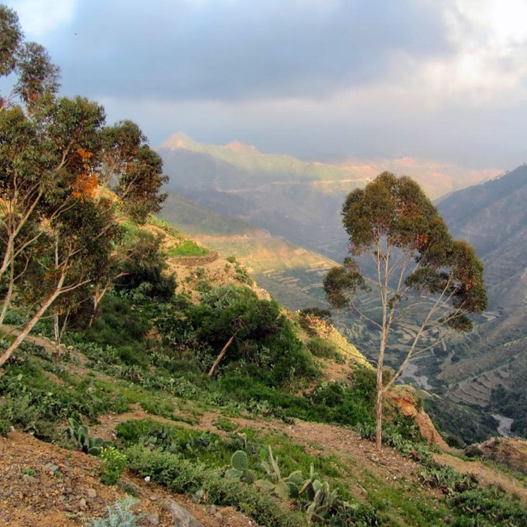 Eritrea adventure