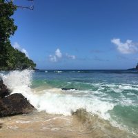 • Fagatele Bay Marine Sanctuary