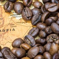 Ethiopia: The Birthplace of Coffee