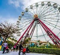 Shopping, Entertainment, and Modern Energy