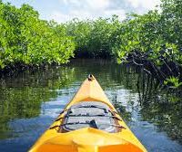 Activities & Adventures You’ll Love