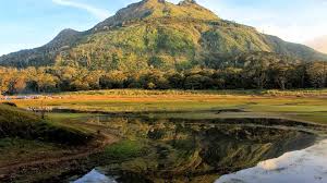Mount Apo