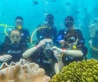 • Snorkeling and Diving