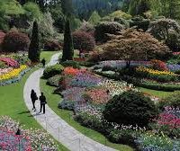 • Public Gardens – Historical Victorian gardens perfect for a peaceful stroll