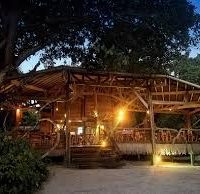 Nature That Surrounds You Everywhere