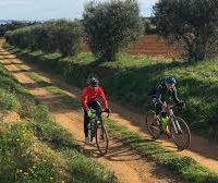 Adventure and Outdoor Activities