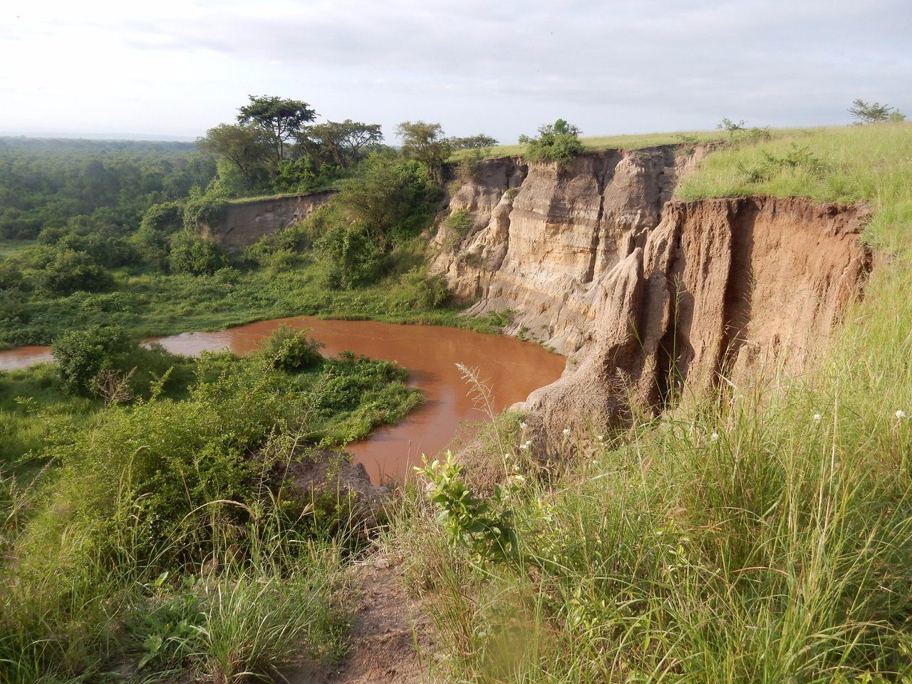 Nature in Goma