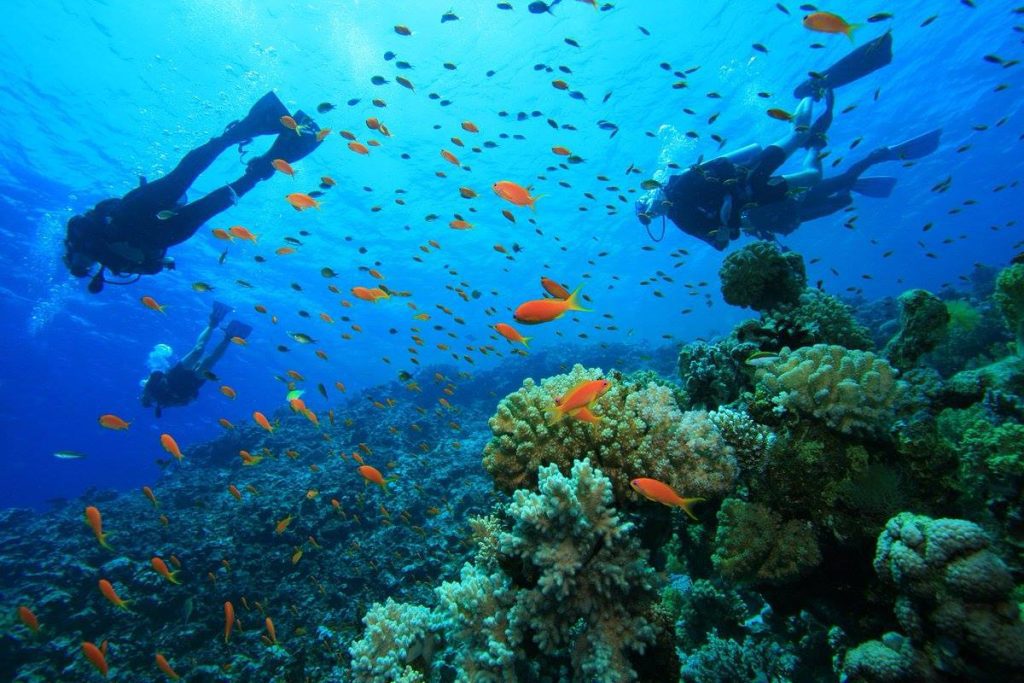 snorkeling