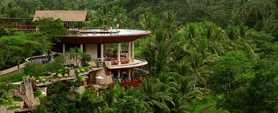 Ubud Nature