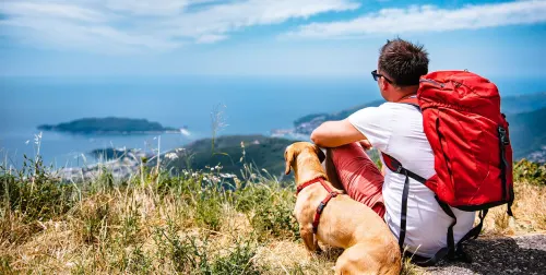 Pet-Friendly Trails