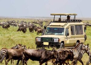 • Nairobi National Park
