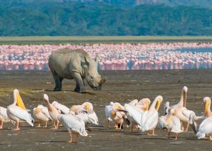 Lake Nakuru National Park