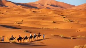 Ouarzazate to the Sahara Desert (Zagora or Merzouga)