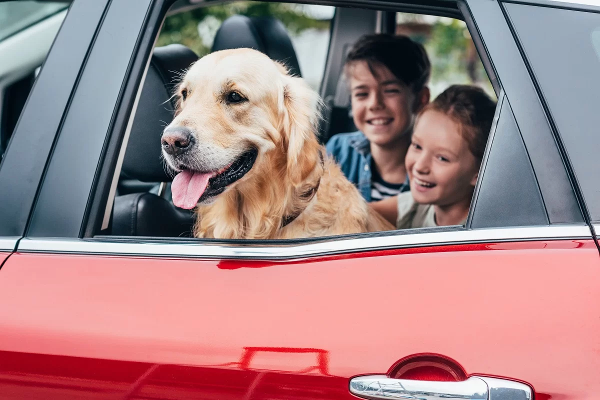 Pet-Friendly Travel