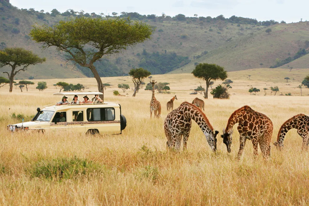 Kenya Safari