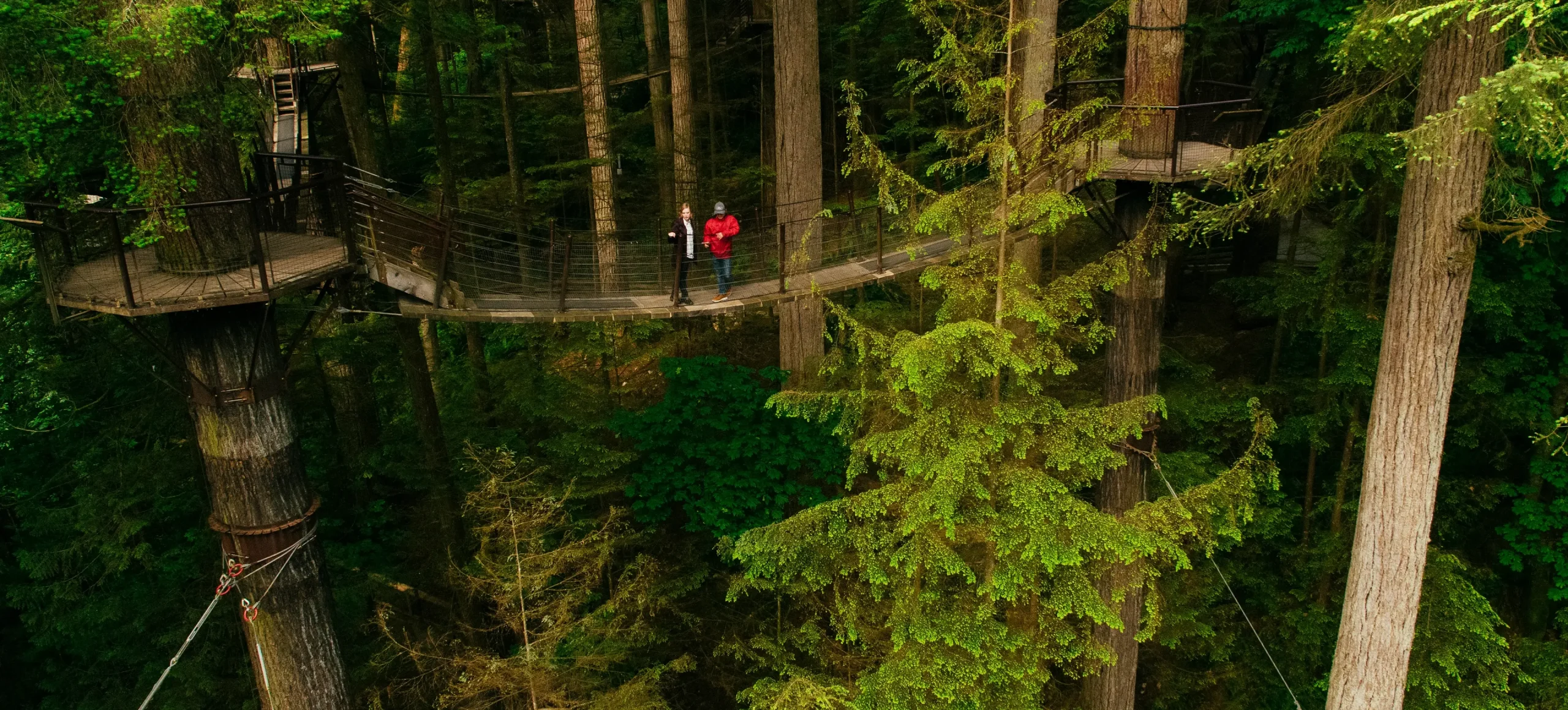 Capilano Suspension Bridge