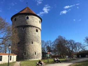 • Museums: From Kiek in de Kok, exploring medieval defense towers, to the Estonian Open-Air Museum, showcasing traditional rural life.