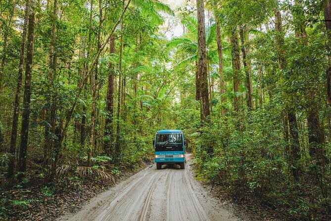 Fraser Island Rainforest