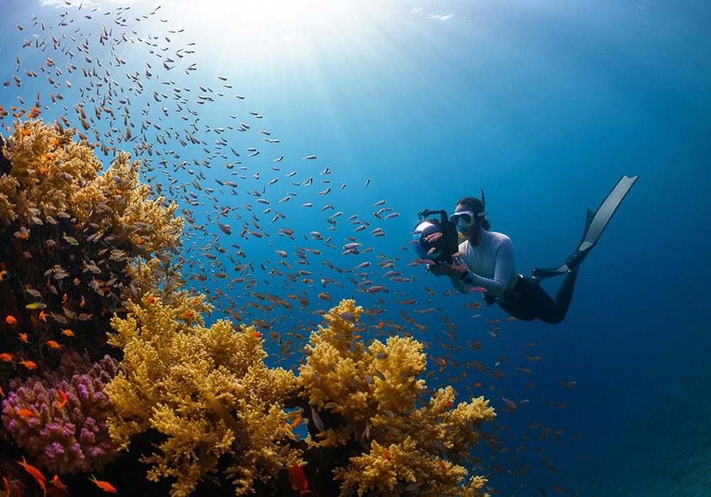 Socotra Activities