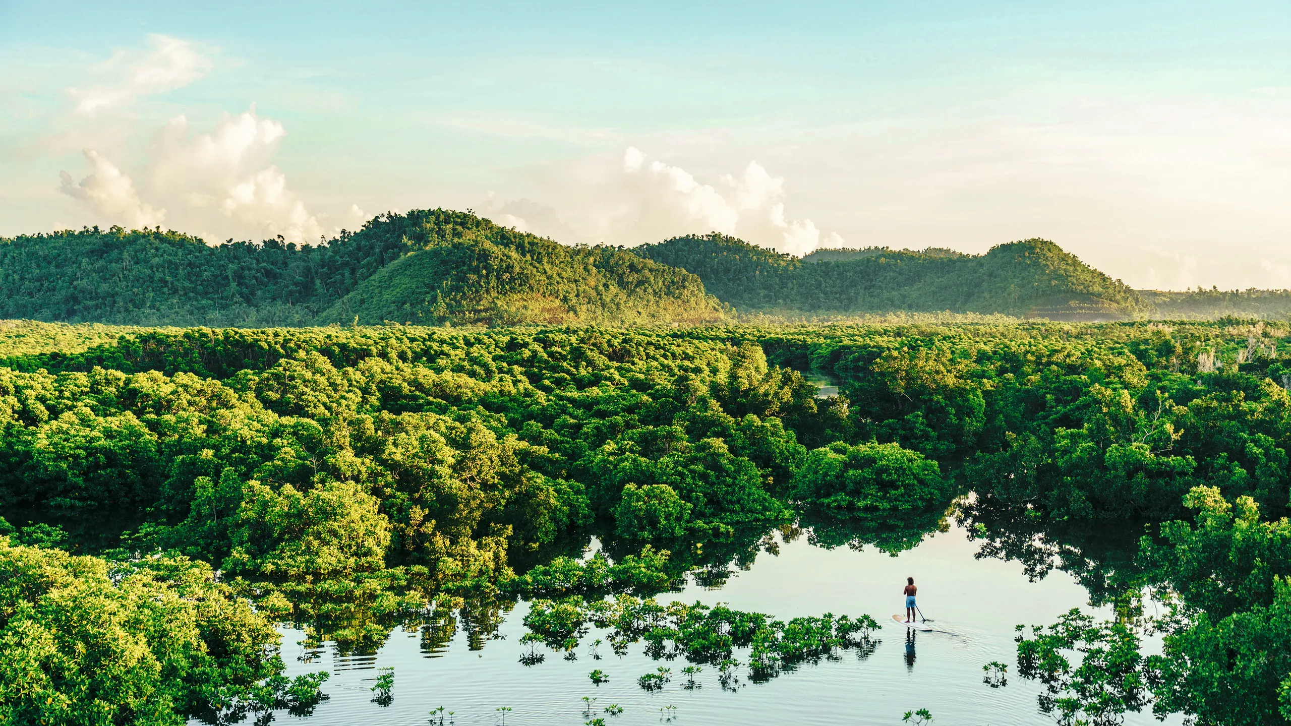 Siargao nature