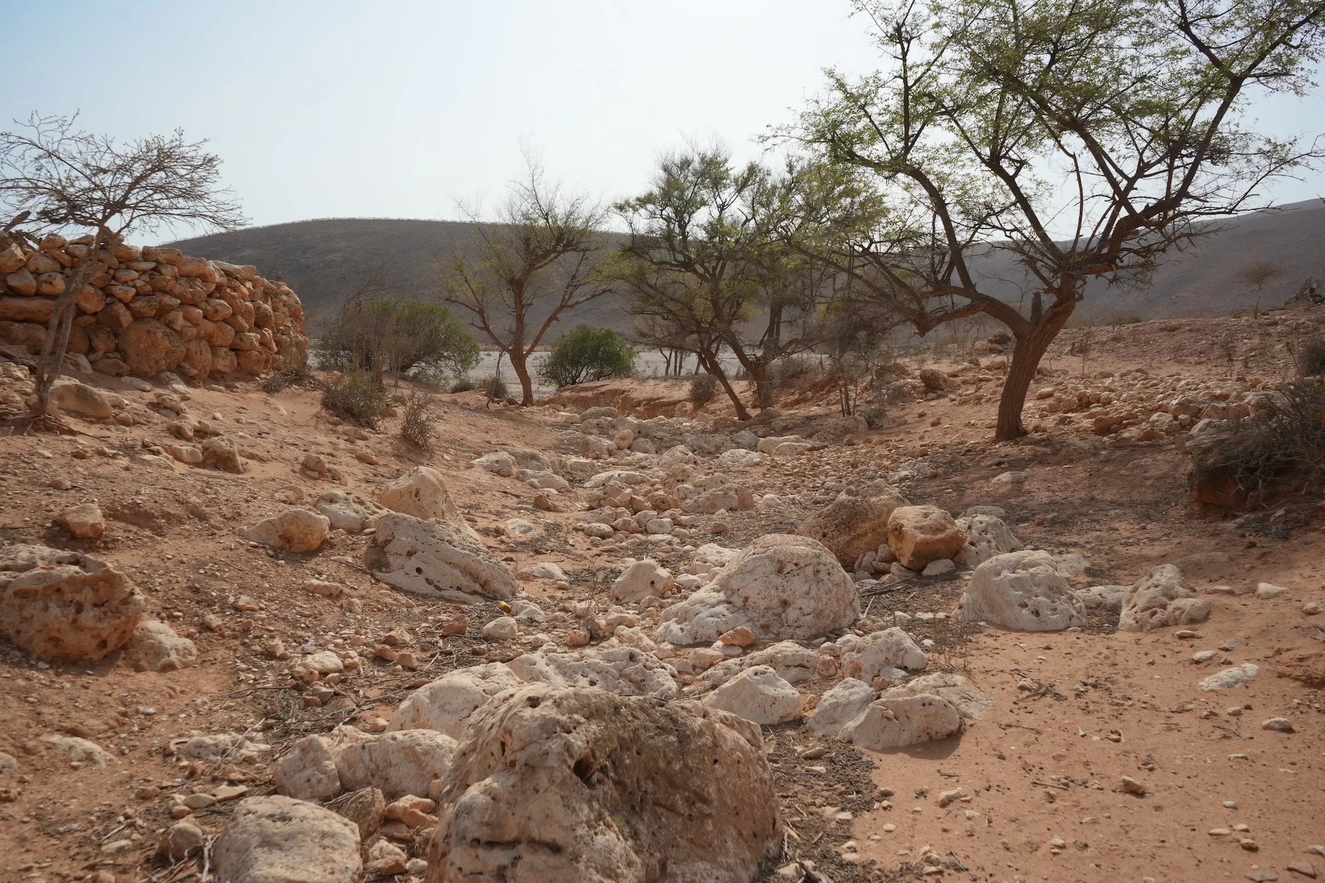 Socotra Climate