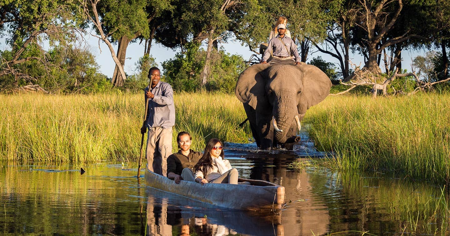 Safari Activities