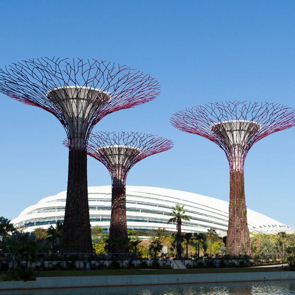Singapore City: A Fusion of Futuristic Architecture & Tropical Nature
