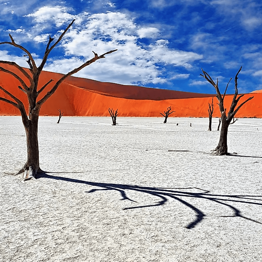 Sossusvlei Namibia Red Sand Dunes: Complete Travel Guide