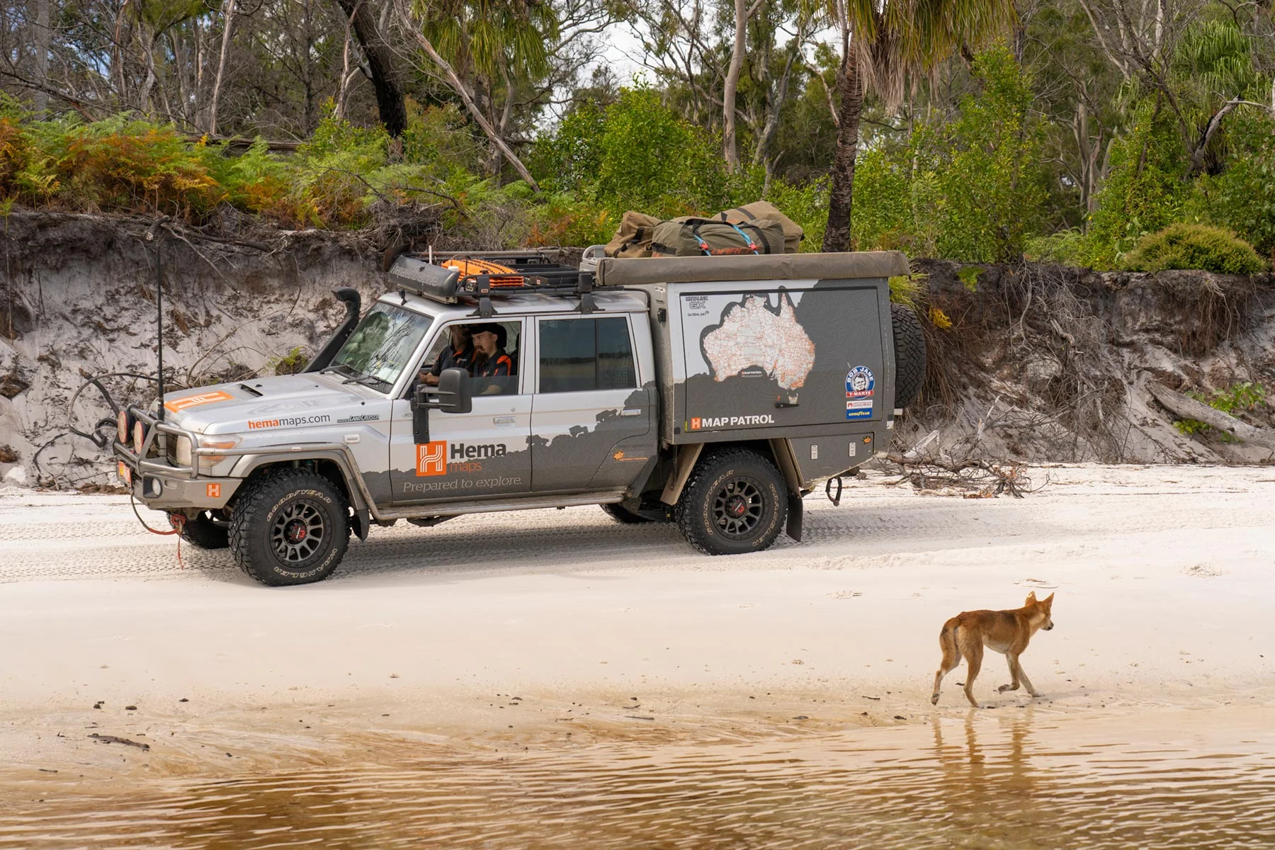 Fraser Island Wildlife