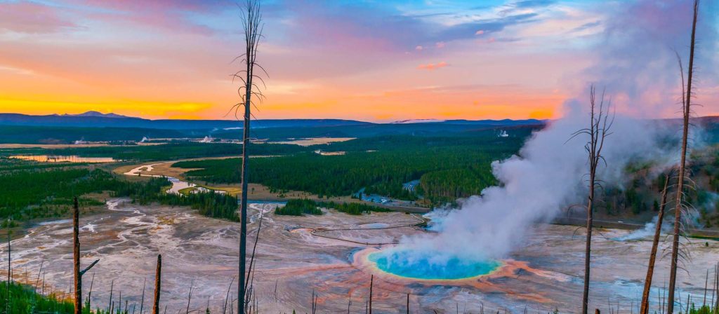 Wildlife in Yellowstone