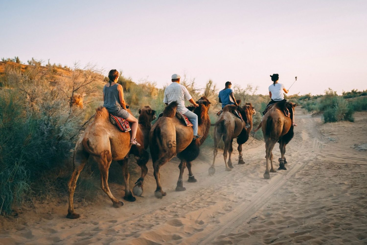 Silk Road Train