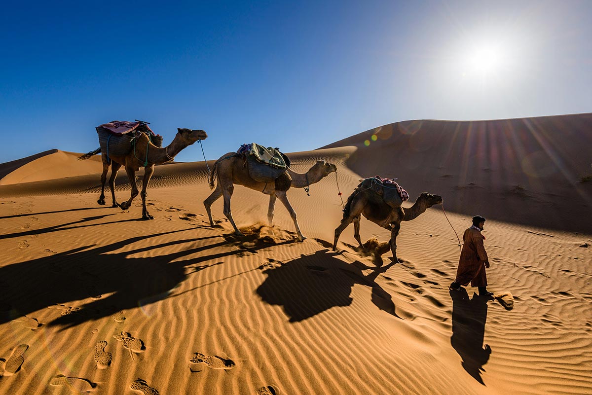 Desert Culture and Travel Etiquette