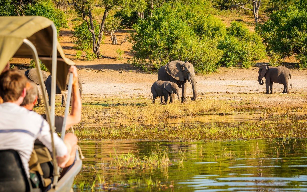 River Safaris