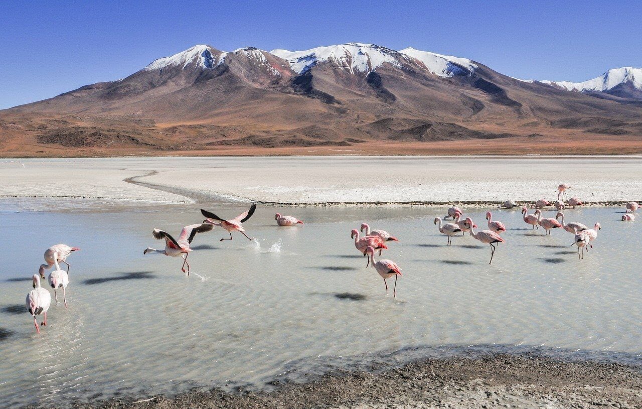 Salar de Uyuni View