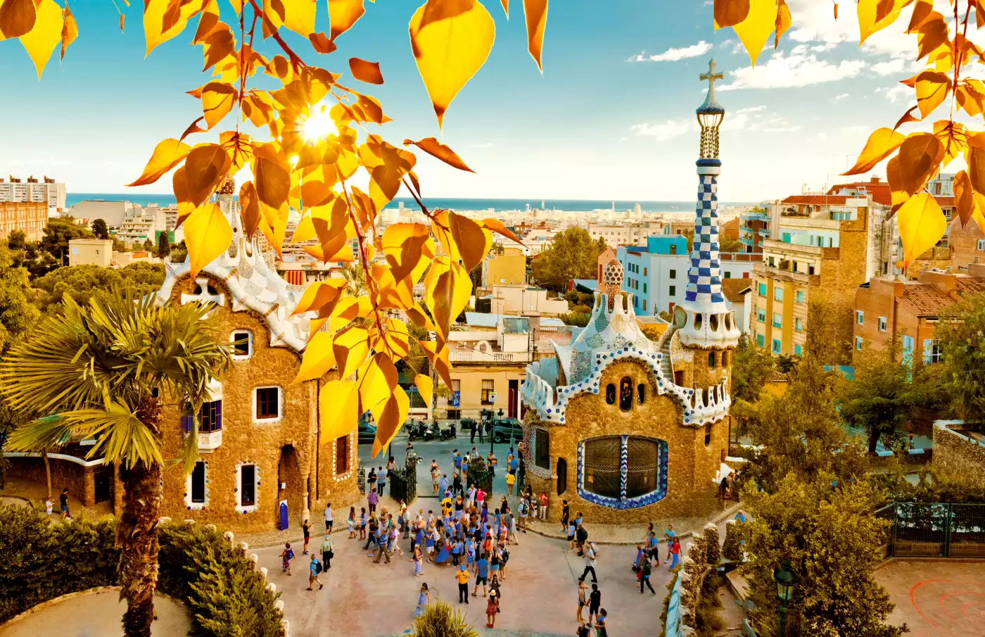 Free Europe activities