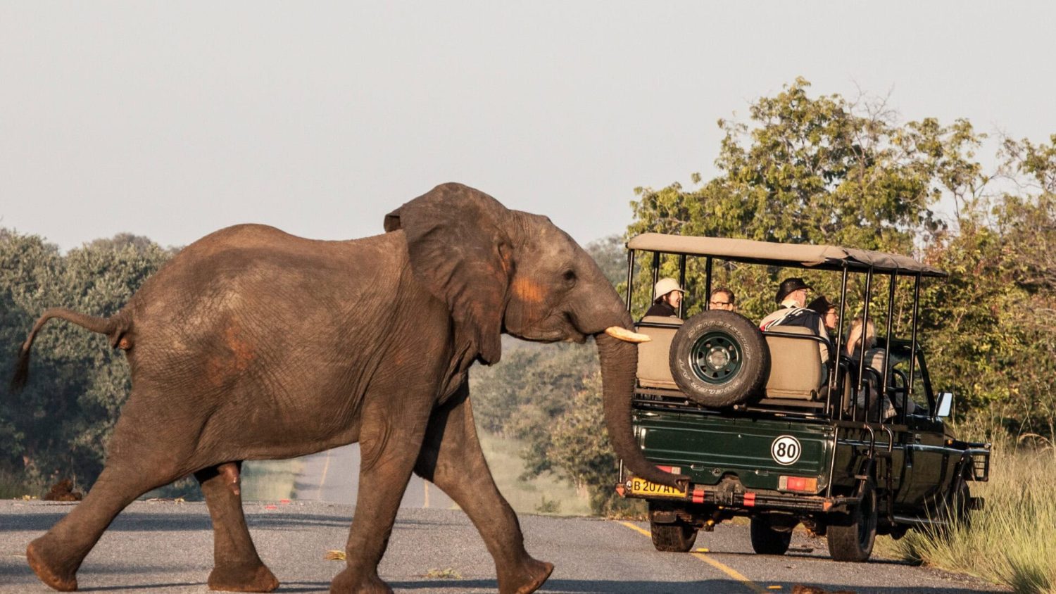 Botswana Safari