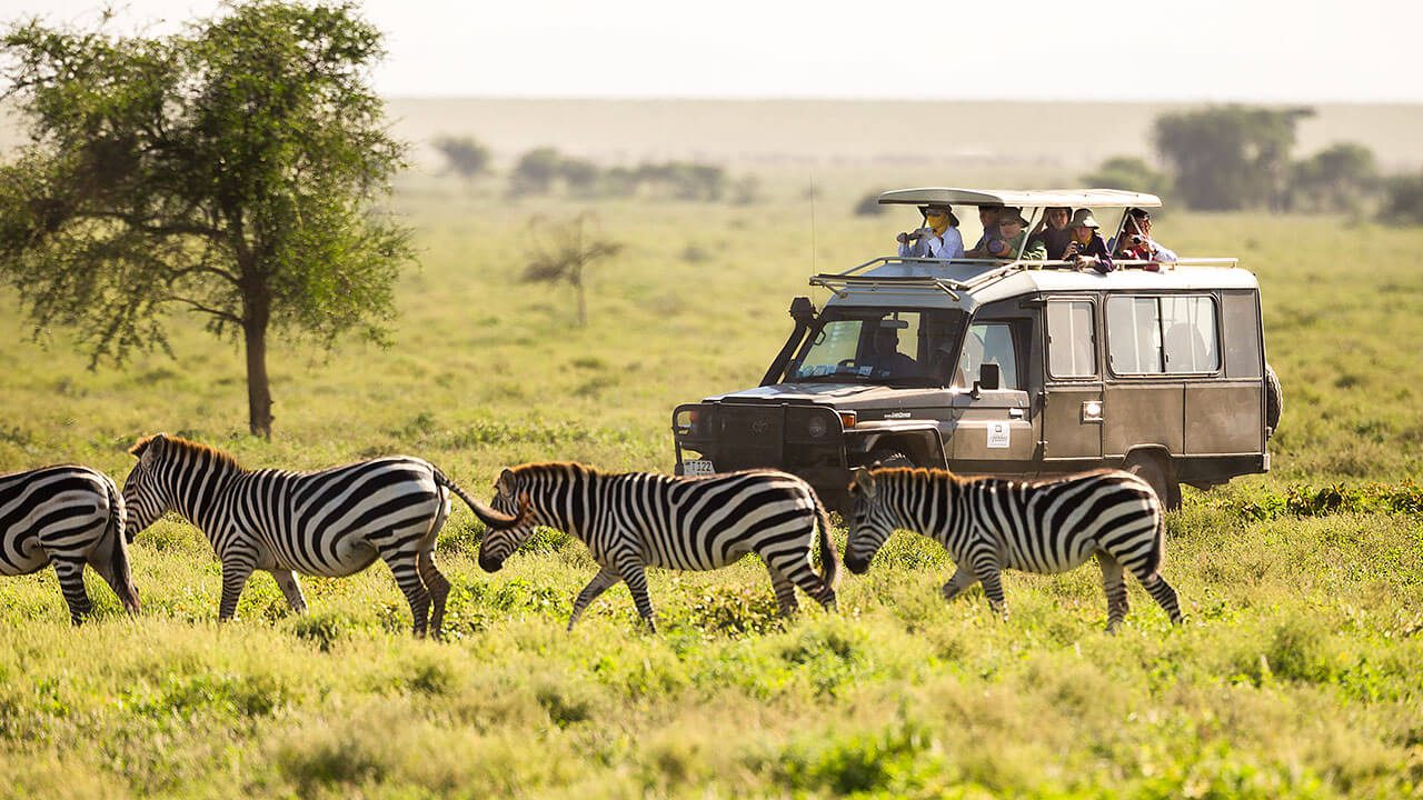Modern Tourism and Conservation