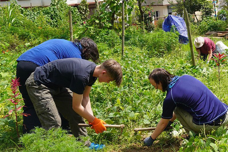 Environmental Conservation