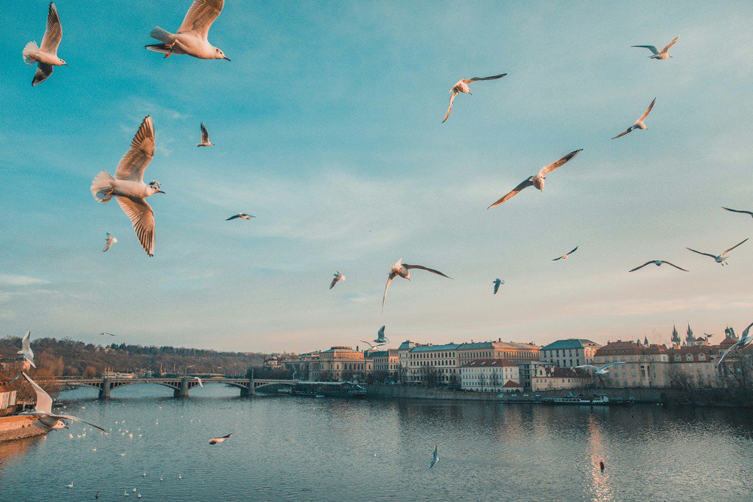 Prague seasons