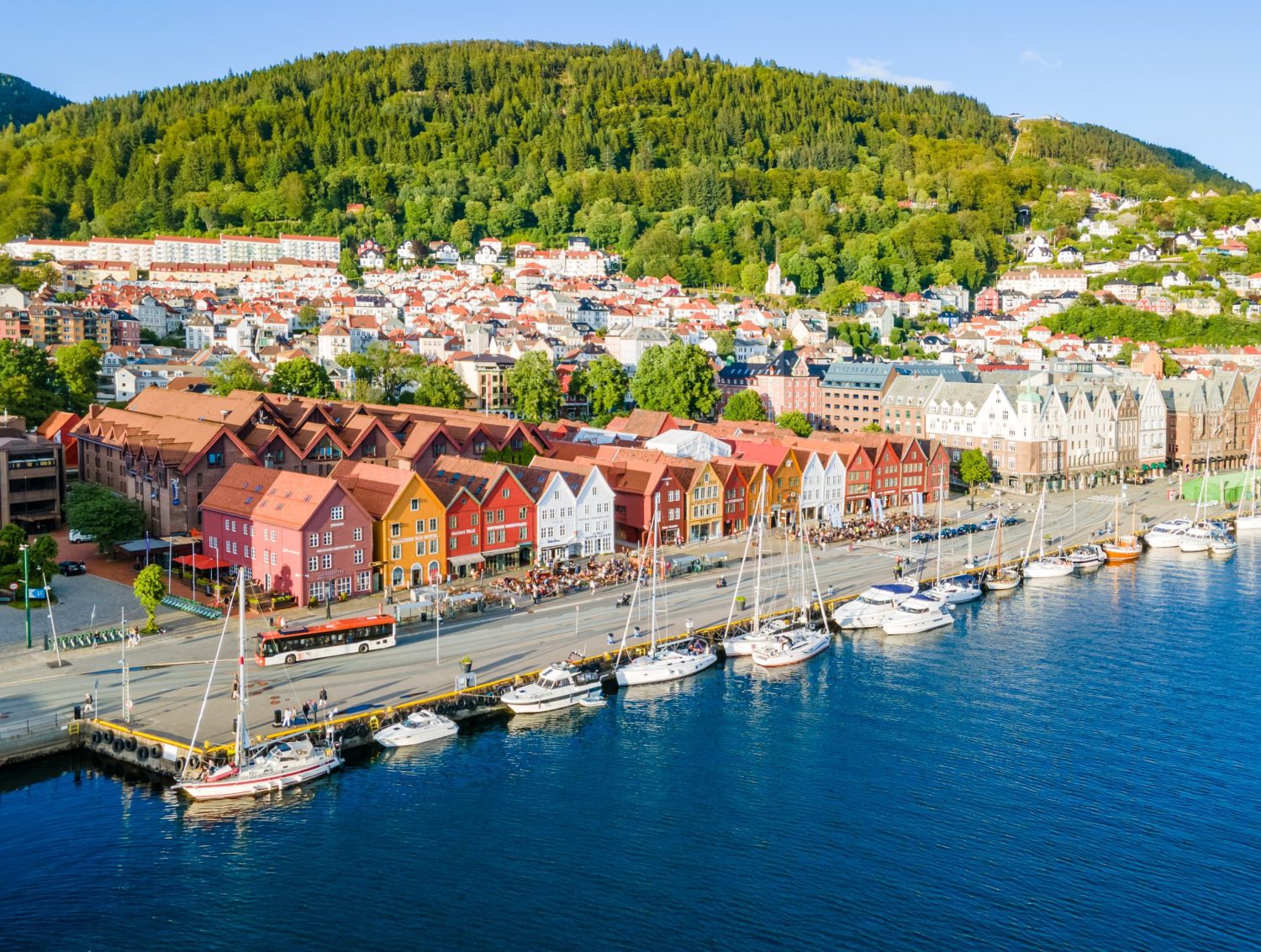 Norway’s Fjords Landscape