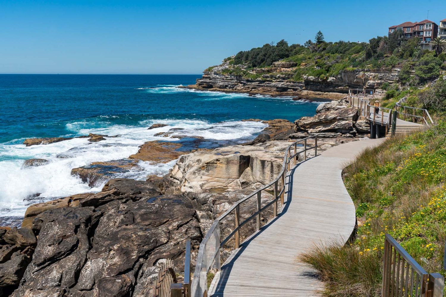 Coastal Walks: Experiencing Sydney at a Slower Pace