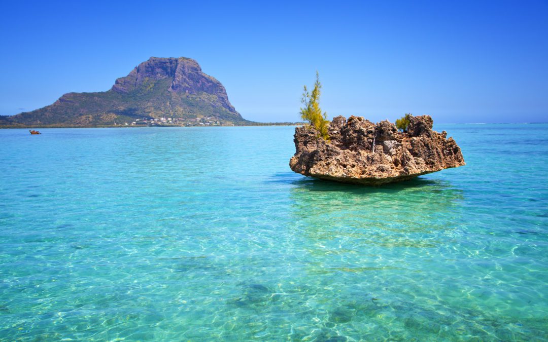 Trekking Through Mauritius’s Wild Landscapes
