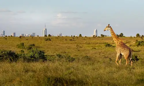 Nairobi city