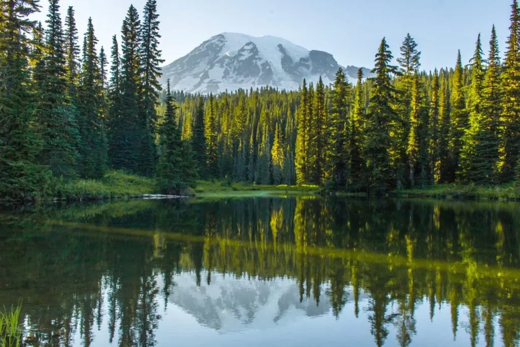 Seattle’s Deep Connection to Nature